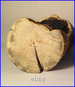 15 Tall Bear In a Stump Handcrafted Chainsaw Carving Rustic Decor Pre-owned