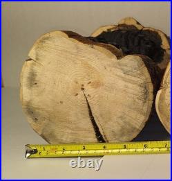 15 Tall Bear In a Stump Handcrafted Chainsaw Carving Rustic Decor Pre-owned