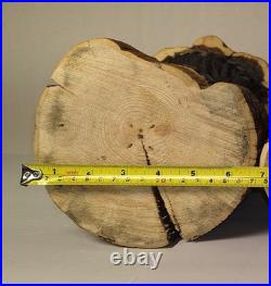 15 Tall Bear In a Stump Handcrafted Chainsaw Carving Rustic Decor Pre-owned