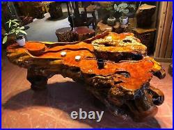 180 cm Chinese Thuja sutchuenensis root carving wood Kung Fu tea table Service