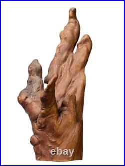 1983 Folk Art Root Hand Sculpture Cedar/Cypress Knee with Label Sulphur Springs 17 1983 Folk Art Root Hand Sculpture Cedar/Cypress Knee with Label Sulphur Springs 17