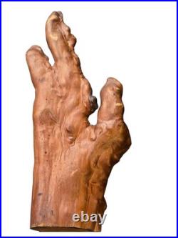 1983 Folk Art Root Hand Sculpture Cedar/Cypress Knee with Label Sulphur Springs 17 1983 Folk Art Root Hand Sculpture Cedar/Cypress Knee with Label Sulphur Springs 17