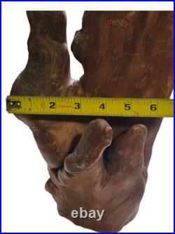 1983 Folk Art Root Hand Sculpture Cedar/Cypress Knee with Label Sulphur Springs 17 1983 Folk Art Root Hand Sculpture Cedar/Cypress Knee with Label Sulphur Springs 17