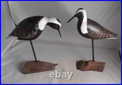 2-Hand Carved Black Bellied Plover Shorebird Decoy Signed P. Collins