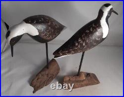 2-Hand Carved Black Bellied Plover Shorebird Decoy Signed P. Collins