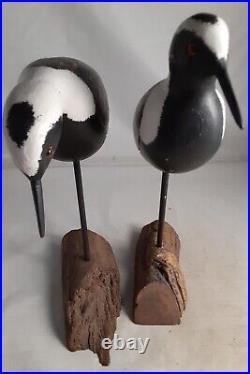 2-Hand Carved Black Bellied Plover Shorebird Decoy Signed P. Collins