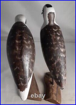 2-Hand Carved Black Bellied Plover Shorebird Decoy Signed P. Collins