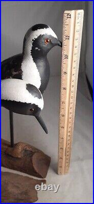 2-Hand Carved Black Bellied Plover Shorebird Decoy Signed P. Collins