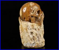 4.2 PETRIFIED WOOD BRANCH Carved Crystal Skull Sculpture, Healing #963