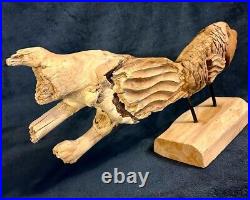 Amazing One Of A Kind Hand Carved Driftwood Fish Tabletop Display 21.5D