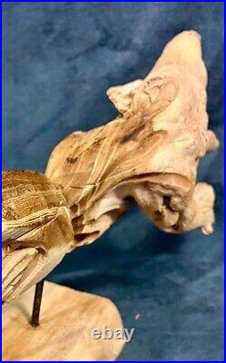 Amazing One Of A Kind Hand Carved Driftwood Fish Tabletop Display 21.5D