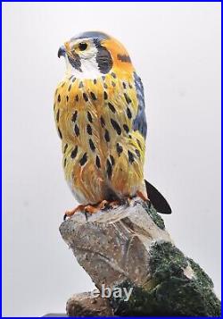 American Kestrel Full Size Wood Sculpture/Carving
