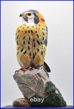 American Kestrel Full Size Wood Sculpture/Carving