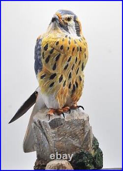 American Kestrel Full Size Wood Sculpture/Carving
