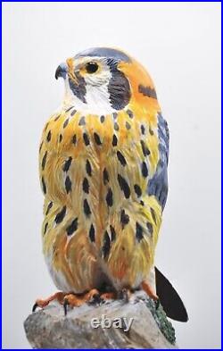 American Kestrel Full Size Wood Sculpture/Carving