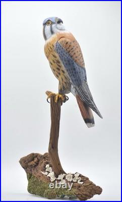 American Kestrel Wood Carving /Sculpture