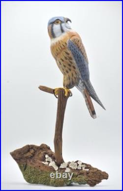 American Kestrel Wood Carving /Sculpture
