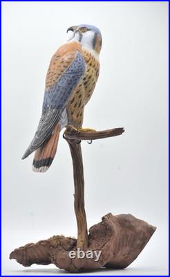 American Kestrel Wood Carving /Sculpture