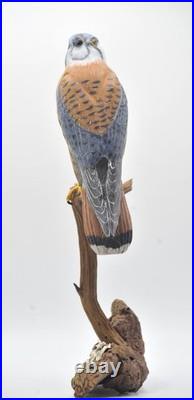 American Kestrel Wood Carving /Sculpture
