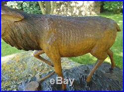 Antique Black Forest Carved Wood Sculpture Red Deer-red Stag-antlers-deer-rare