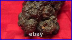 Antique Chinese Root Wood Carving Old Man Scholar Figure