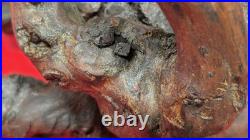 Antique Chinese Root Wood Carving Old Man Scholar Figure