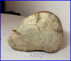 Antique hand carved wood glass eyes Folk Art snake cobra sculpture statue figure