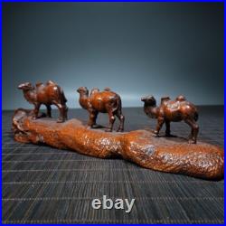 Art collection exquisite wood carvings animal Statue camel group sculpture decor Art collection exquisite wood carvings animal Statue camel group sculpture decor