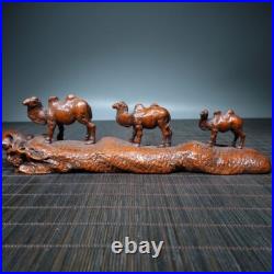 Art collection exquisite wood carvings animal Statue camel group sculpture decor Art collection exquisite wood carvings animal Statue camel group sculpture decor