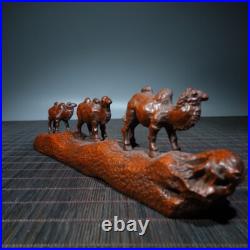 Art collection exquisite wood carvings animal Statue camel group sculpture decor Art collection exquisite wood carvings animal Statue camel group sculpture decor