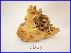 Artisan handcarved wood tree spirit skull carving with glass ball eye signed