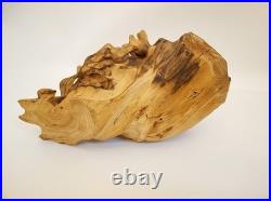 Artisan handcarved wood tree spirit skull carving with glass ball eye signed