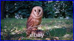 Barn Owl Wooden Gift Owls Wooden owl Wood Carving Wood Owl Wood sculpture owl