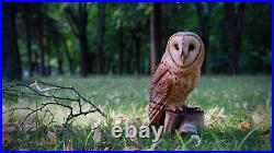 Barn Owl Wooden Gift Owls Wooden owl Wood Carving Wood Owl Wood sculpture owl