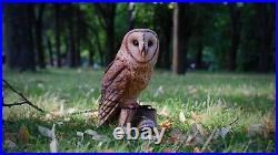 Barn Owl Wooden Gift Owls Wooden owl Wood Carving Wood Owl Wood sculpture owl