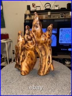 Beautiful Natural Cypress Knee Sculpture