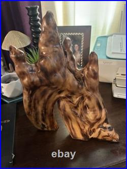 Beautiful Natural Cypress Knee Sculpture