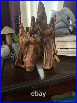 Beautiful Natural Cypress Knee Sculpture