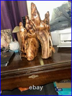 Beautiful Natural Cypress Knee Sculpture