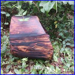 Black Bear Chainsaw Carving Bear Cub Bear In A Hollow Teddy Bear Wood Carving