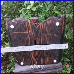 Black Bear Chainsaw Carving Bear Cub Bear In A Hollow Teddy Bear Wood Carving