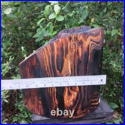 Black Bear Chainsaw Carving Bear Cub Bear In A Hollow Teddy Bear Wood Carving