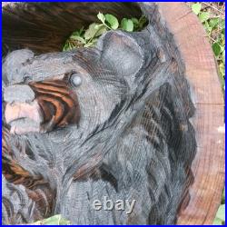 Black Bear Chainsaw Carving Bear Cub Bear In A Hollow Teddy Bear Wood Carving