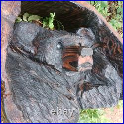 Black Bear Chainsaw Carving Bear Cub Bear In A Hollow Teddy Bear Wood Carving