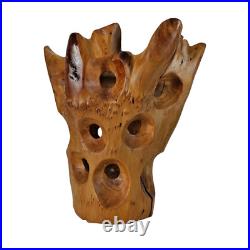 Blooming Rootstock Sculpture Teak Root Wood Vase Shaped 17.5 in