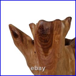 Blooming Rootstock Sculpture Teak Root Wood Vase Shaped 17.5 in