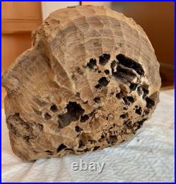 Brutalist Carved Interpretation Of An Abstract Wooden Head Sculpture Art Decor Brutalist Carved Interpretation Of An Abstract Wooden Head Sculpture Art Decor