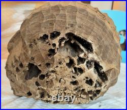 Brutalist Carved Interpretation Of An Abstract Wooden Head Sculpture Art Decor Brutalist Carved Interpretation Of An Abstract Wooden Head Sculpture Art Decor