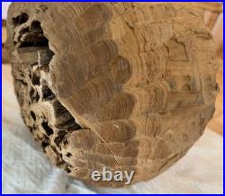 Brutalist Carved Interpretation Of An Abstract Wooden Head Sculpture Art Decor Brutalist Carved Interpretation Of An Abstract Wooden Head Sculpture Art Decor