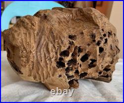 Brutalist Carved Wooden Interpretation Of An Abstract Head Sculpture Art Decor